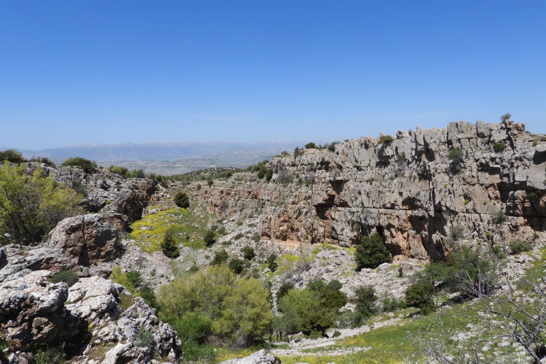 In December 2020, the Lebanese Parliament approved the establishment of a nature reserve in Mount Hermon.