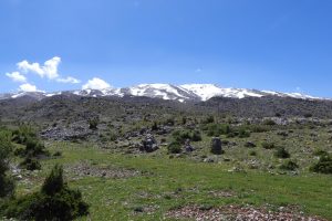 YEr_PdT2U2hmPrlDyBs41