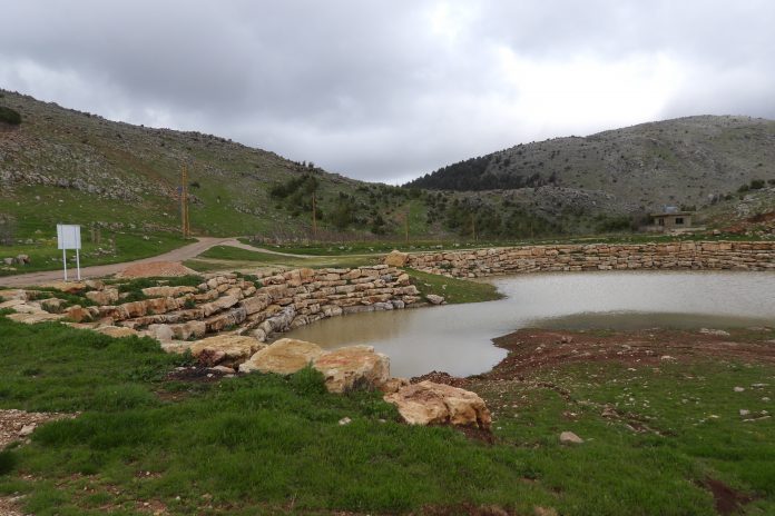 Studies show that empowering communities and blending law enforcement with local regulations can significantly enhance compliance with wildlife conservation laws. Studies show that empowering communities and blending law enforcement with local regulations can significantly enhance compliance with wildlife conservation laws.